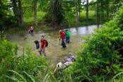 Medina River Cleanup Medina River Cleanup