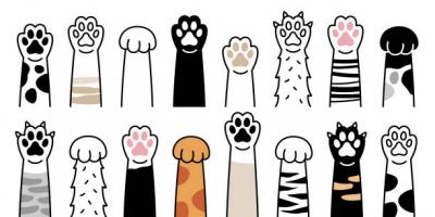 Dog and Cat Paws